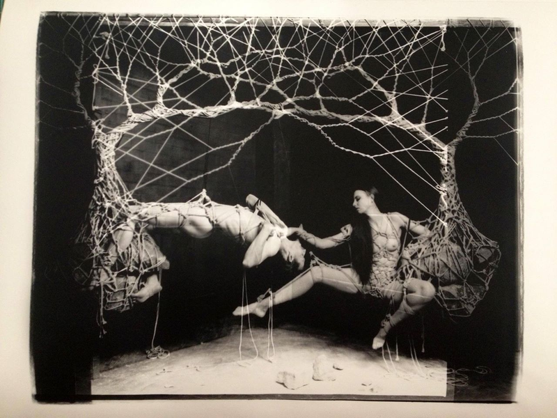 Illustration for article titled The beautiful bondage forests of Garth Knight